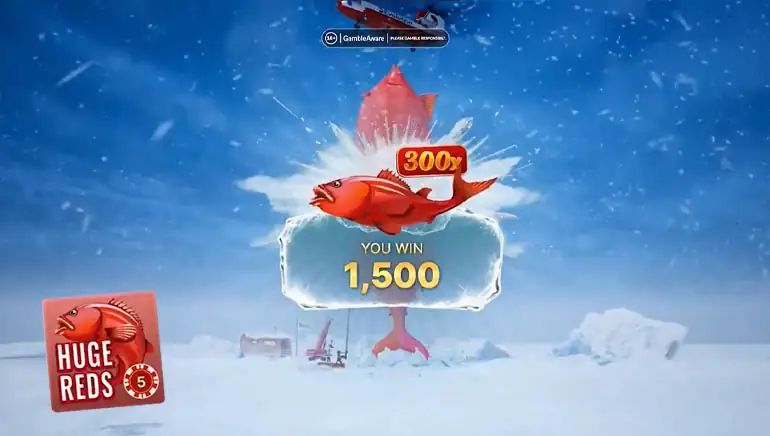 Environnement de casino en direct et interface utilisateur
